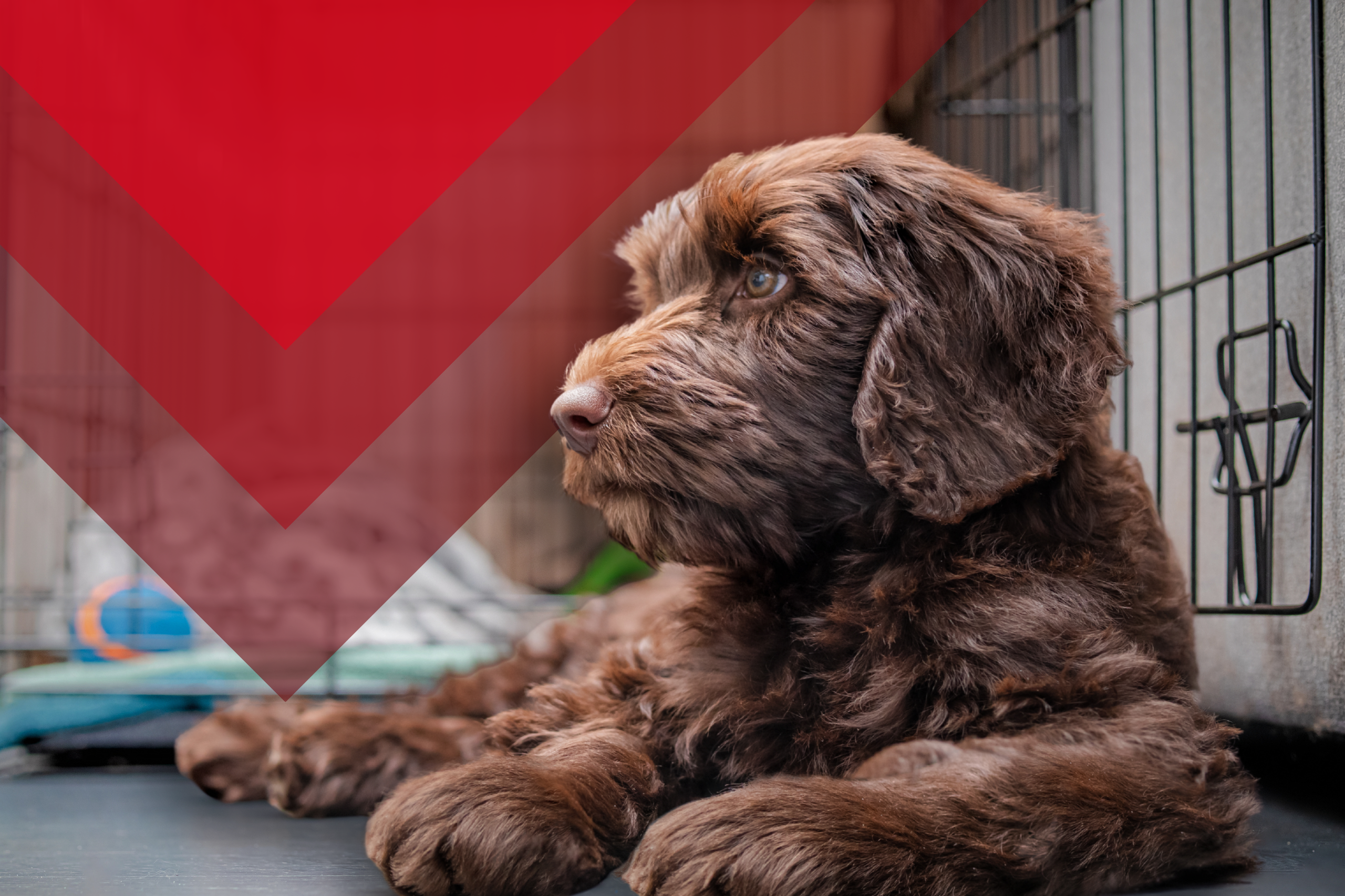 QMT Commercial - Charity Main image